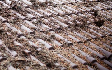 Stone Street roof cleaning companies